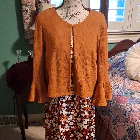Perceptions Terracotta Knitwear - Picture 1 of 13